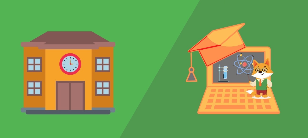 Формы обучения в России: какие бывают виды образования в школе в РФ ...